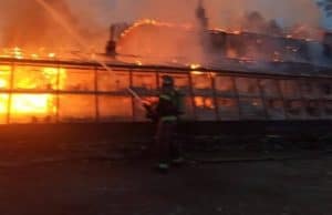 В эко-парке «Сад пионов» произошел крупный пожар
