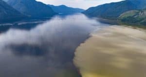Слияние мутных вод Чулышмана с прозрачным Телецким озером отсняли в Алтайском заповеднике