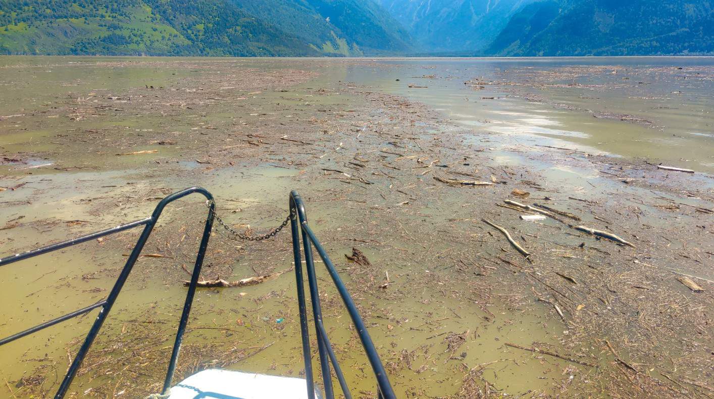Слияние мутных вод Чулышмана с прозрачным Телецким озером отсняли в Алтайском заповеднике