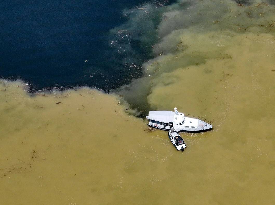 Слияние мутных вод Чулышмана с прозрачным Телецким озером отсняли в Алтайском заповеднике