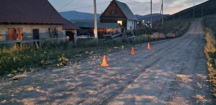 В Усть-Коксе подросток на мотоцикле врезался в корову