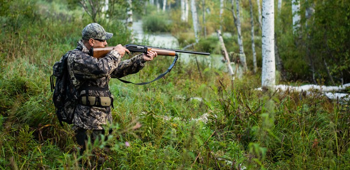 Утверждены лимиты добычи охотничьих ресурсов в Республике Алтай