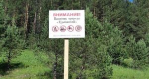 Сельчанин «случайно» срубил деревья на охраняемой территории и получил условный срок Сельчанин «случайно» срубил деревья на охраняемой территории и получил условный срок