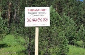 Сельчанин «случайно» срубил деревья на охраняемой территории и получил условный срок Сельчанин «случайно» срубил деревья на охраняемой территории и получил условный срок