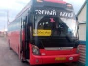 В ДТП с автобусом на Алтае пострадала пенсионерка из Калининградской области