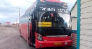 В ДТП с автобусом на Алтае пострадала пенсионерка из Калининградской области
