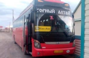 В ДТП с автобусом на Алтае пострадала пенсионерка из Калининградской области В ДТП с автобусом на Алтае пострадала пенсионерка из Калининградской области