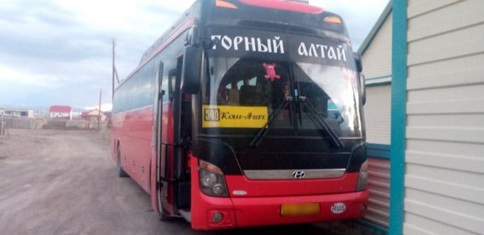 В ДТП с автобусом на Алтае пострадала пенсионерка из Калининградской области
