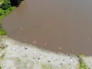 С начала купального сезона городской пляж в Еланде посетили тысячи человек