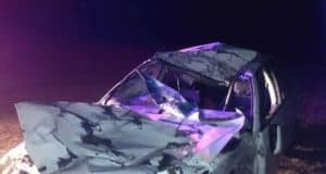 Toyota Сarina врезалась в лошадь на Чуйском тракте