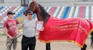 Рысак из Усть-Коксинского района завоевал престижный приз