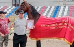 Рысак из Усть-Коксинского района завоевал престижный приз Рысак из Усть-Коксинского района завоевал престижный приз