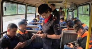 Операция «Нелегал» прошла на Алтае: выявлено 159 нарушений Операция «Нелегал» прошла на Алтае: выявлено 159 нарушений