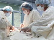 Бийские хирурги удалили огромную кисту пациентке из Горно-Алтайска Бийские хирурги удалили огромную кисту пациентке из Горно-Алтайска