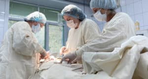 Бийские хирурги удалили огромную кисту пациентке из Горно-Алтайска