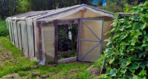 225 кустов мака, выращенных в парнике, обернулись уголовным делом