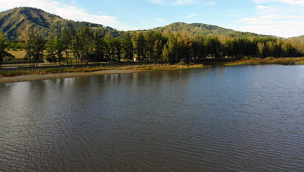 Мнение специалиста: «Экологической катастрофы» на Манжерокском озере нет