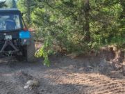 В Чойском районе прокладывают лесные дороги В Чойском районе прокладывают лесные дороги