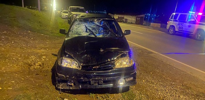 В Онгудае по вине пьяного водителя погиб 15-летний подросток