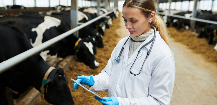 Ветеринарные услуги подорожали на Алтае