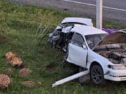 В Шебалино Toyota сбила собаку и врезалась в опору ЛЭП: погибла молодая туристка В Шебалино Toyota сбила собаку и врезалась в опору ЛЭП: погибла молодая туристка