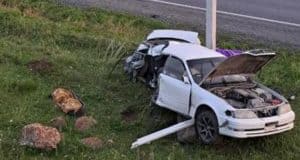 В Шебалино Toyota сбила собаку и врезалась в опору ЛЭП: погибла молодая туристка