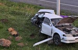 В Шебалино Toyota сбила собаку и врезалась в опору ЛЭП: погибла молодая туристка В Шебалино Toyota сбила собаку и врезалась в опору ЛЭП: погибла молодая туристка