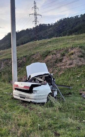 В Шебалино Toyota сбила собаку и врезалась в опору ЛЭП: погибла молодая туристка 