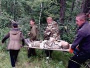 Сборщик ореха упал с кедра в Усть-Коксинском районе Сборщик ореха упал с кедра в Усть-Коксинском районе