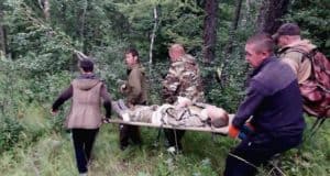 Сборщик ореха упал с кедра в Усть-Коксинском районе