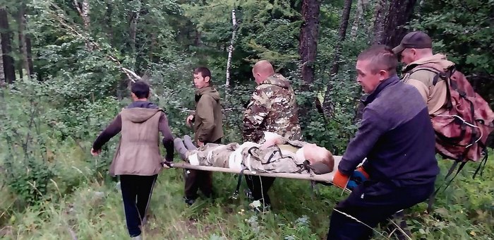 Сборщик ореха упал с кедра в Усть-Коксинском районе