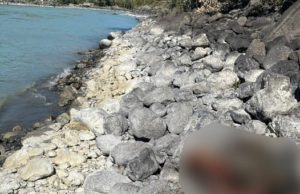 В Онгудайском районе нашли тело мужчины, который на спор пытался переплыть Катунь В Онгудайском районе нашли тело мужчины, который на спор пытался переплыть Катунь