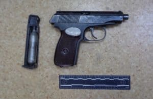На Алтае пограничники изъяли у иностранки пневматический пистолет
