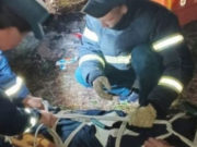 Сборщик ореха упал с дерева в районе Семинского перевала Сборщик ореха упал с дерева в районе Семинского перевала