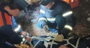 Сборщик ореха упал с дерева в районе Семинского перевала