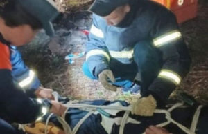 Сборщик ореха упал с дерева в районе Семинского перевала