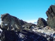 На плато Укок впервые за пять лет основательно пересчитают снежных барсов На плато Укок впервые за пять лет основательно пересчитают снежных барсов