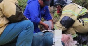 Пожилая женщина упала со скалы на берег Катуни