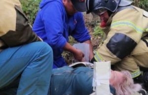 Пожилая женщина упала со скалы на берег Катуни Пожилая женщина упала со скалы на берег Катуни