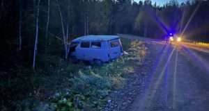 УАЗ «буханка» перевернулся в Турочакском районе – водитель погиб
