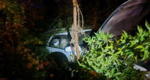 В Майме «Тойота» врезалась в опору ЛЭП, пострадала 17-летняя девушка