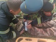 На Семинском перевале сборщик ореха упал с кедра и потерял сознание На Семинском перевале сборщик ореха упал с кедра и потерял сознание
