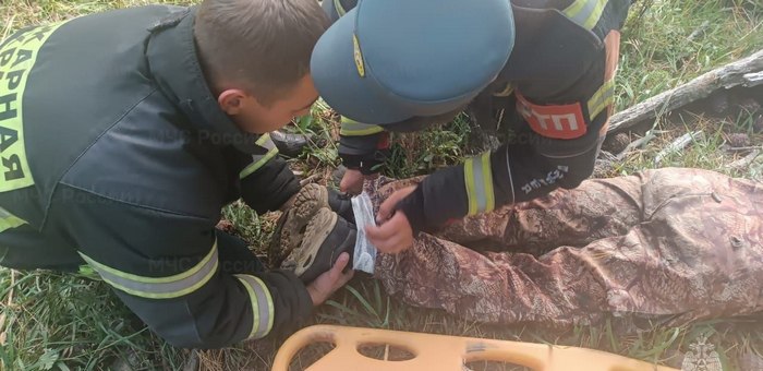 На Семинском перевале сборщик ореха упал с кедра и потерял сознание