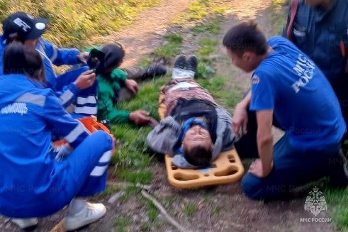 На Семинском перевале сборщик ореха упал с кедра и потерял сознание 
