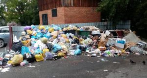 Суд обязал регионального оператора вывозить мусор в Горно-Алтайске по графику