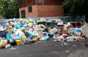 «Мусорный» вопрос: контейнеры в Горно-Алтайске вновь оказались переполненными Суд обязал регионального оператора вывозить мусор в Горно-Алтайске по графику