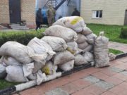 В Усть-Коксинском районе задержали браконьеров, собравших 600 кг «золотого корня» В Усть-Коксинском районе задержали браконьеров, собравших 600 кг «золотого корня»