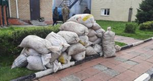 В Усть-Коксинском районе задержали браконьеров, собравших 600 кг «золотого корня» В Усть-Коксинском районе задержали браконьеров, собравших 600 кг «золотого корня»