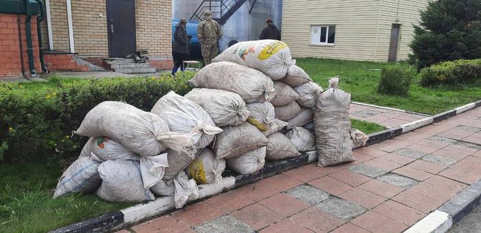 В Усть-Коксинском районе задержали браконьеров, собравших 600 кг «золотого корня»