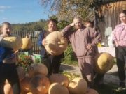 Школьники в Ускуче помогли пенсионерам убрать урожай Школьники в Ускуче помогли пенсионерам убрать урожай